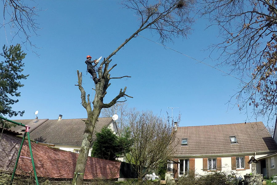 bois de chauffage Île-de-France